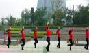 楠楠广场舞 唱天籁 原创广场舞蹈 含动作教学下载