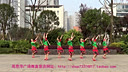 周思萍广场舞系列 摆手舞 正反面 广场舞视频大全
