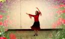 冰柳广场舞 请你来新疆 编舞王梅 高清广场舞视频