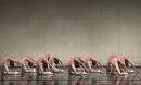 北京舞蹈学院舞功教材 跪下腰组合