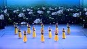 天山上的雪莲花 演出变队形附背面 立华广场舞作品展演