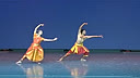 印度婆罗多舞 在寺庙和皇室发展起来的