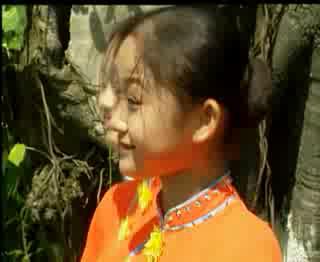 ���ϻ���