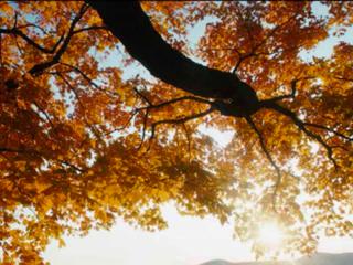 回顾走过的历程