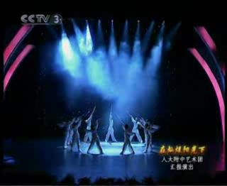 武术《对弈》人大附中武术队表演