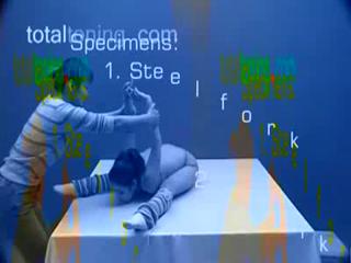 亚洲MM柔术软功表演