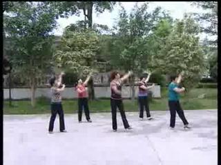 揭西广场舞 红雪莲