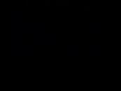 【老外在舞蹈节】喜悦 金雅文