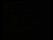 少儿舞蹈《宠物猫、流浪猫》