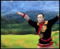 ˫衶衷  