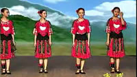 舞蹈 “苗岭的早晨”旁走步踢毽步教学